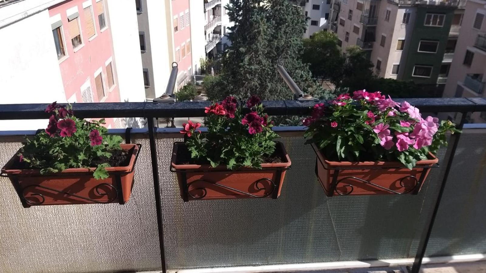 Appartamento La Casa Dei Nonni Al Vaticano Roma